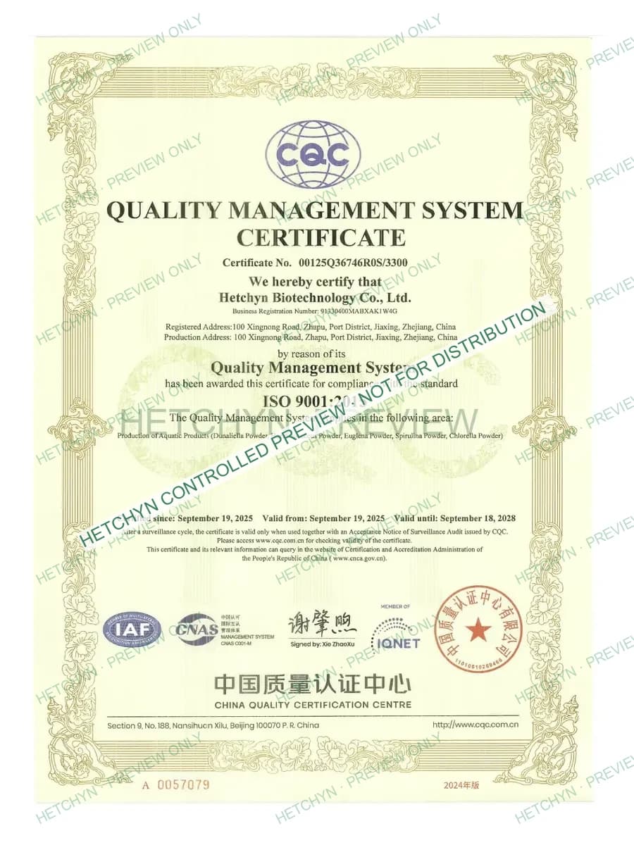 Protected watermarked preview of ISO 9001 credential