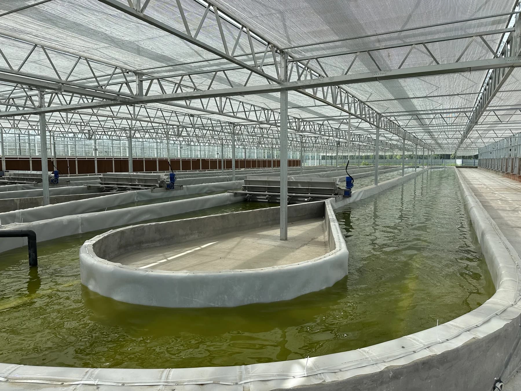 Controlled glass-greenhouse raceway cultivation pools at HETCHYN