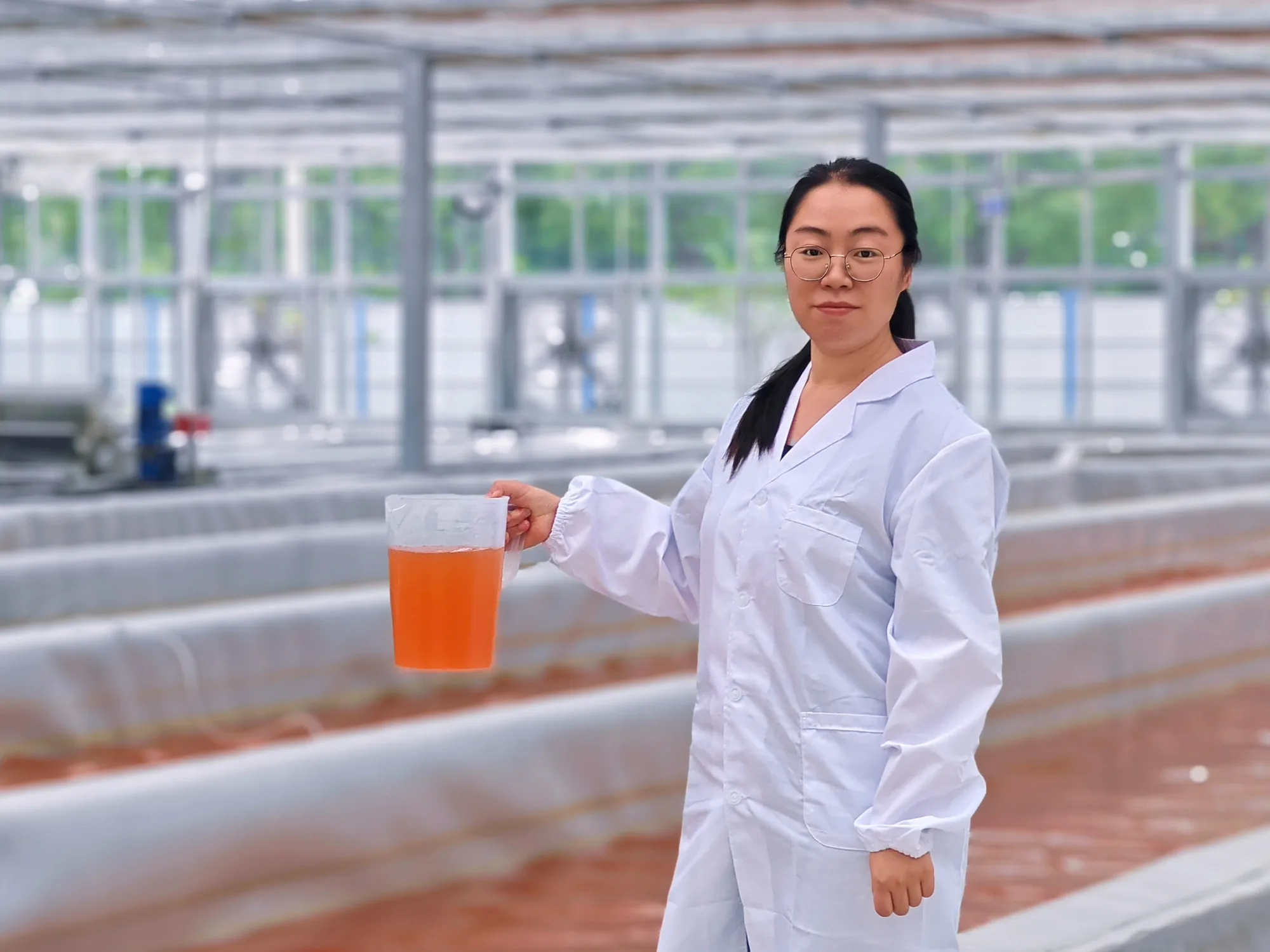 HETCHYN researcher holds orange Dunaliella culture beside glass-greenhouse raceways
