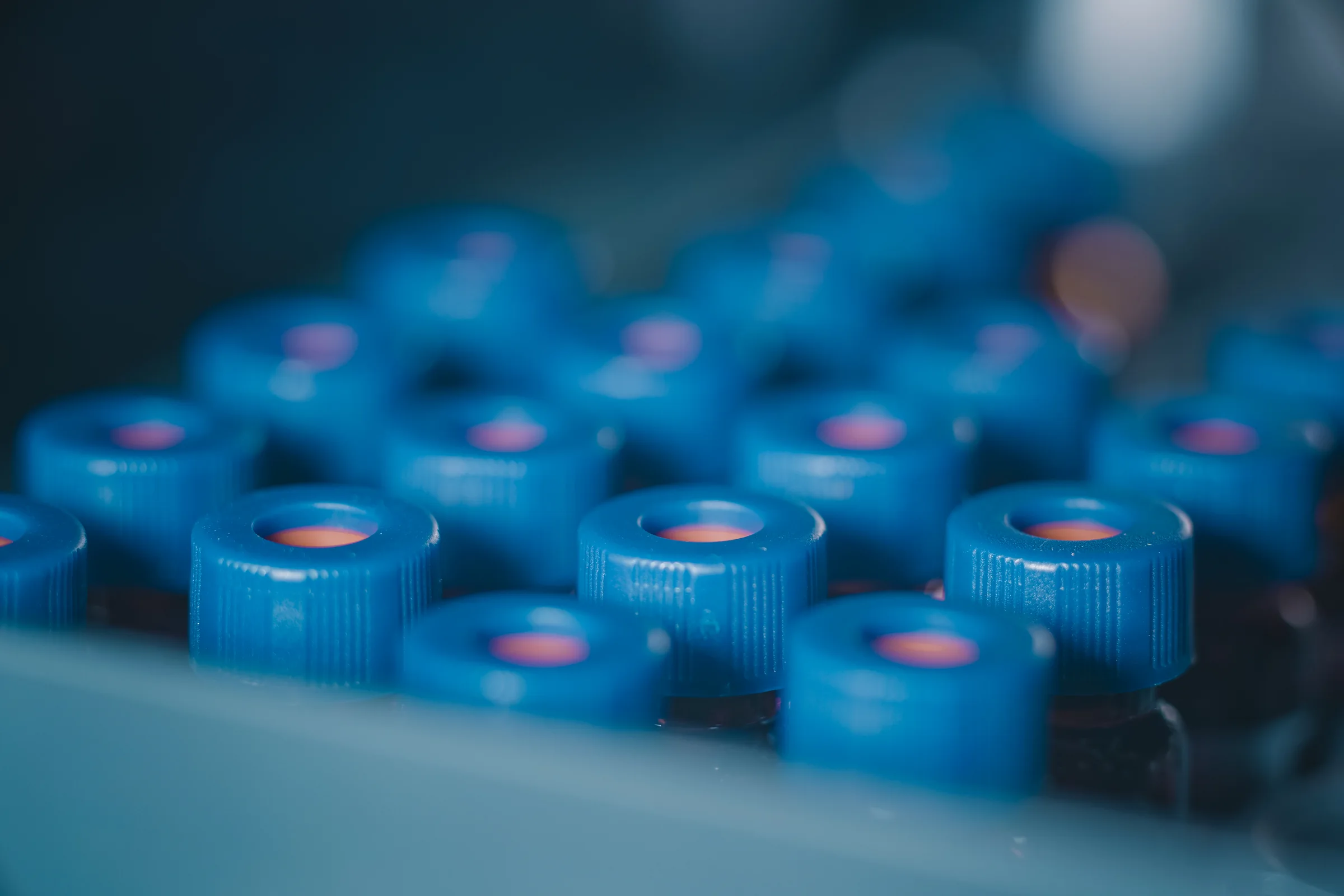 Blue-capped sample vials prepared for laboratory quality testing