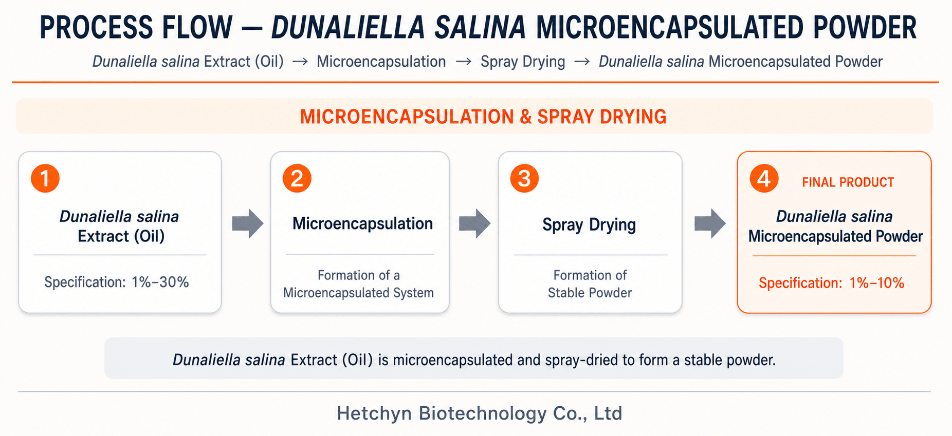Microencapsulated powder route process flow diagram